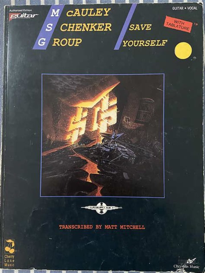 The Meaning Behind The Song: Save Yourself by McAuley-Schenker Group