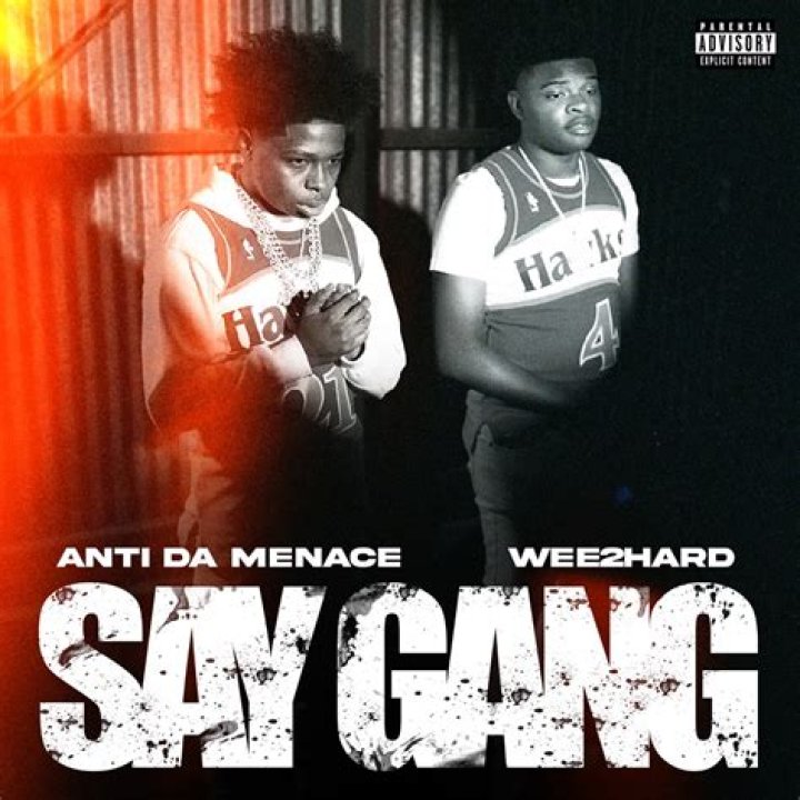 The Meaning Behind The Song: Say Gang by Wee2Hard
