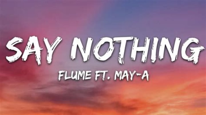 The Meaning Behind The Song: Say Nothing by Flume