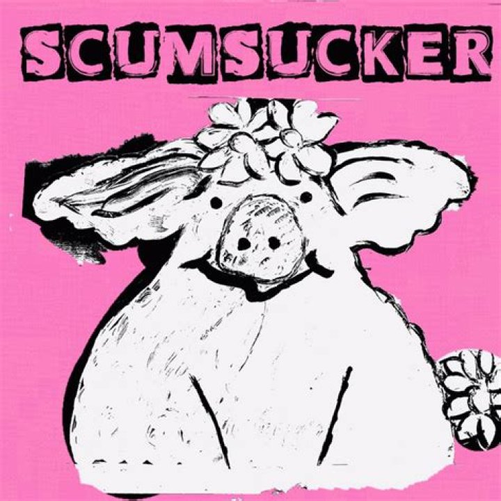 The Meaning Behind The Song: SCUMSUCKER by SCUMBUNG