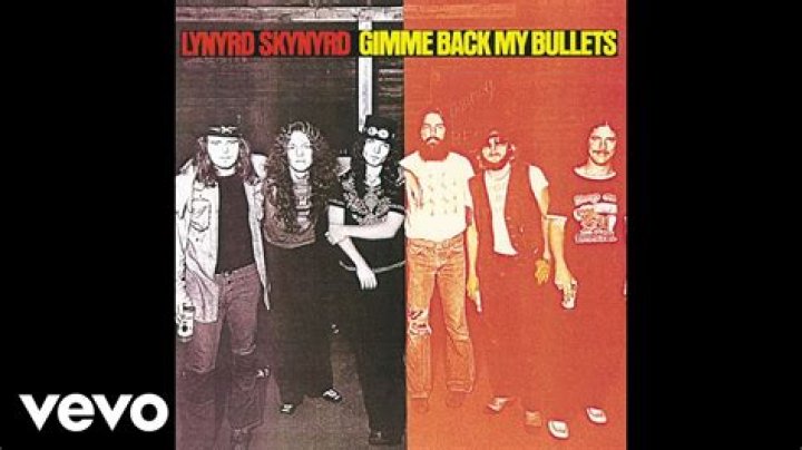 The Meaning Behind The Song: Searching by Lynyrd Skynyrd