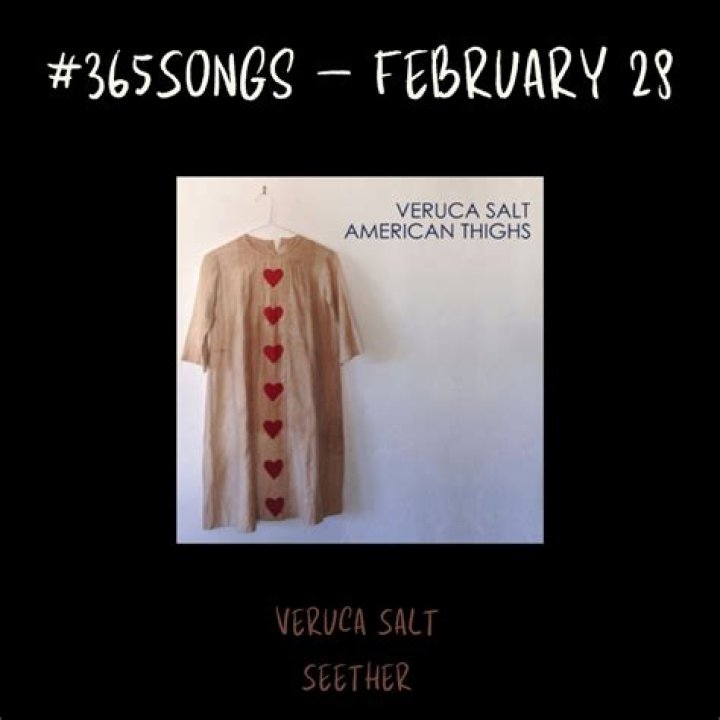 The Meaning Behind The Song: Seether by Veruca Salt