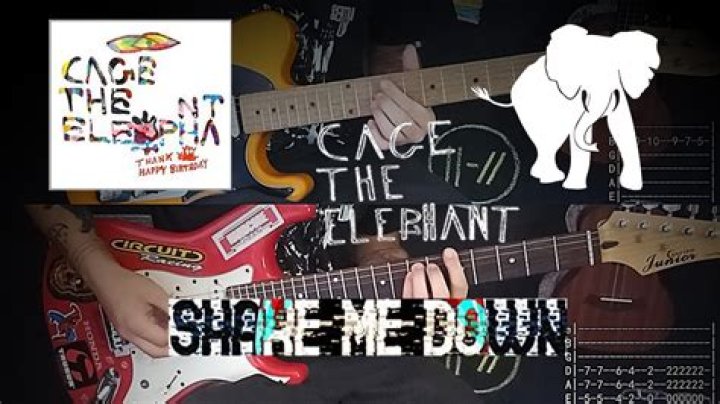 The Meaning Behind The Song: Shake Me Down by Cage the Elephant