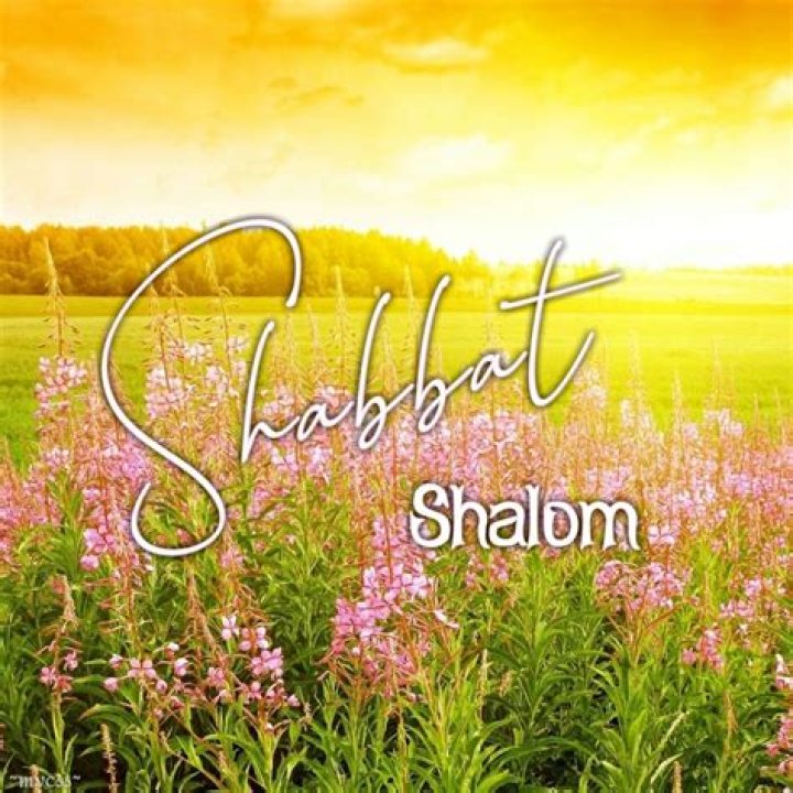 The Meaning Behind The Song: Shalawam my baby by JR Jayh