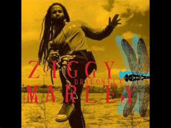 The Meaning Behind The Song: Shalom Salaam by Ziggy Marley