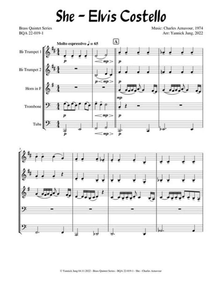 The Meaning Behind The Song: She by Elvis Costello