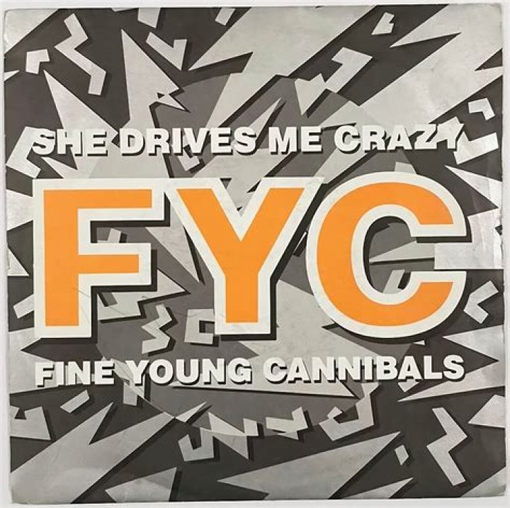 The Meaning Behind The Song: She Drives Me Crazy by Fine Young Cannibals