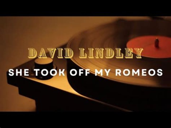 The Meaning Behind The Song: She Took off My Romeos by David Lindley