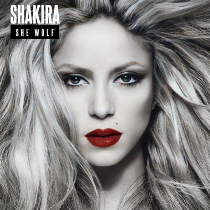 The Meaning Behind The Song: She Wolf (Live) by Shakira