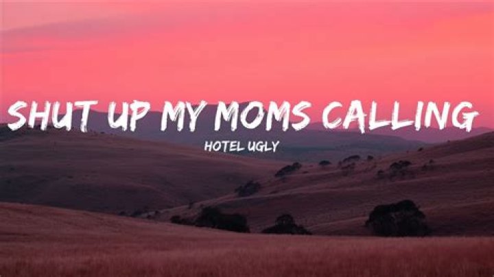 The Meaning Behind The Song: Shut Up My Moms Is Calling by Hotel Ugly