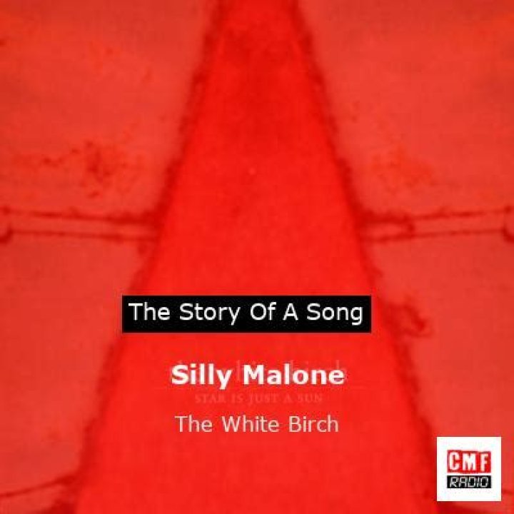 The Meaning Behind The Song: Silly Malone by The White Birch
