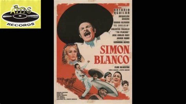 The Meaning Behind The Song: Simon blanco by Bertin y lalo