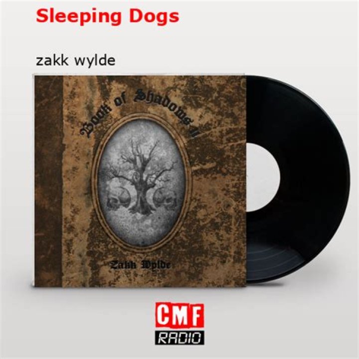 The Meaning Behind The Song: Sleeping Dogs by Zakk Wylde