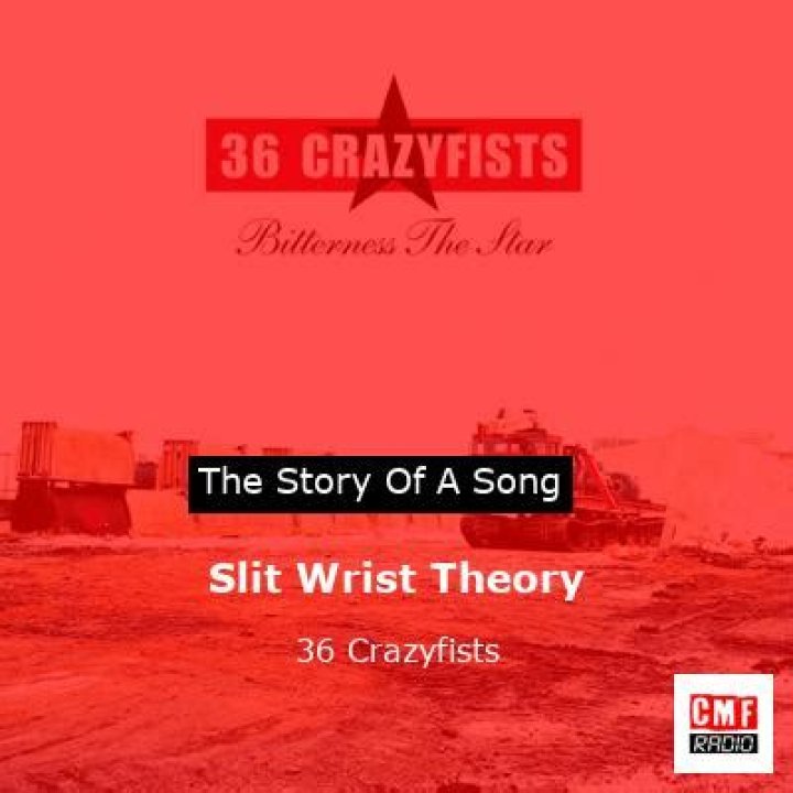 The Meaning Behind The Song: Slit my wrist by D1zzz