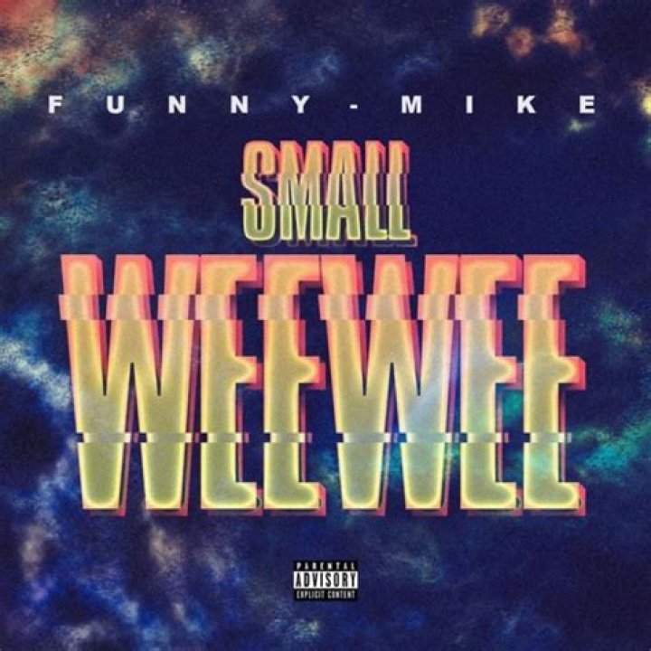 The Meaning Behind The Song: Small WeeWee (Remix) by FunnyMike