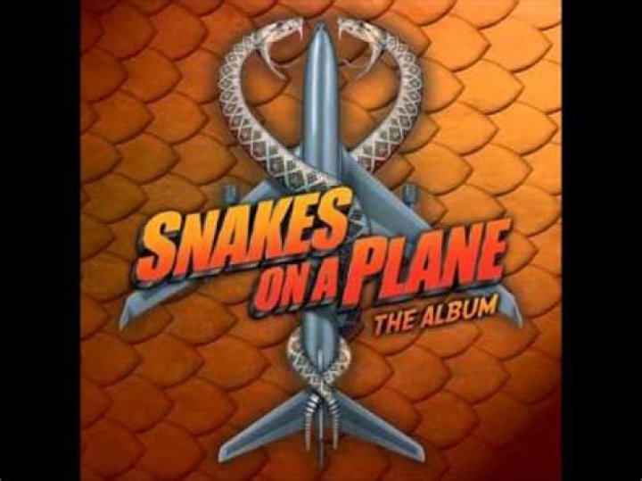 The Meaning Behind The Song: Snakes on a Plane (Bring It) by The Sounds