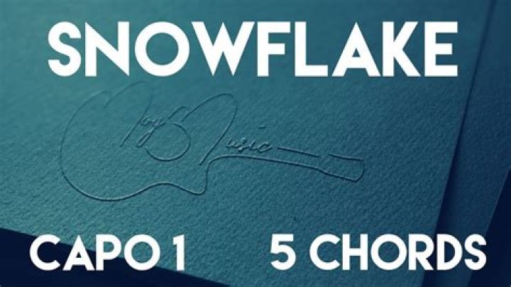 The Meaning Behind The Song: Snowflake by Sia