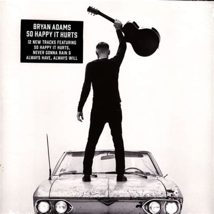 The Meaning Behind The Song: So Happy It Hurts by Bryan Adams