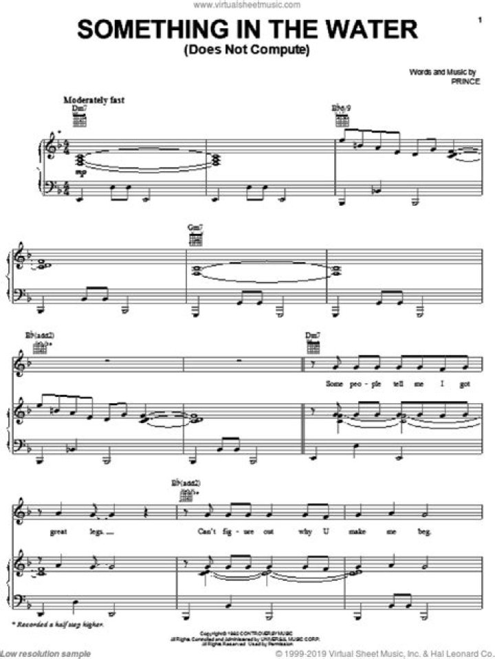 The Meaning Behind The Song: Something In The Water (Does Not Compute) by Prince