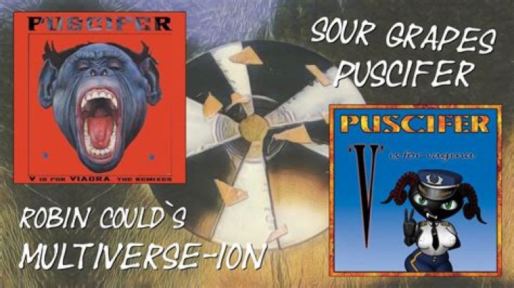 The Meaning Behind The Song: Sour Grapes by Puscifer