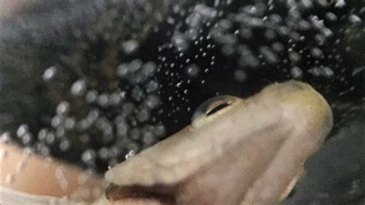 The Meaning Behind The Song: Special by Joe Hawley