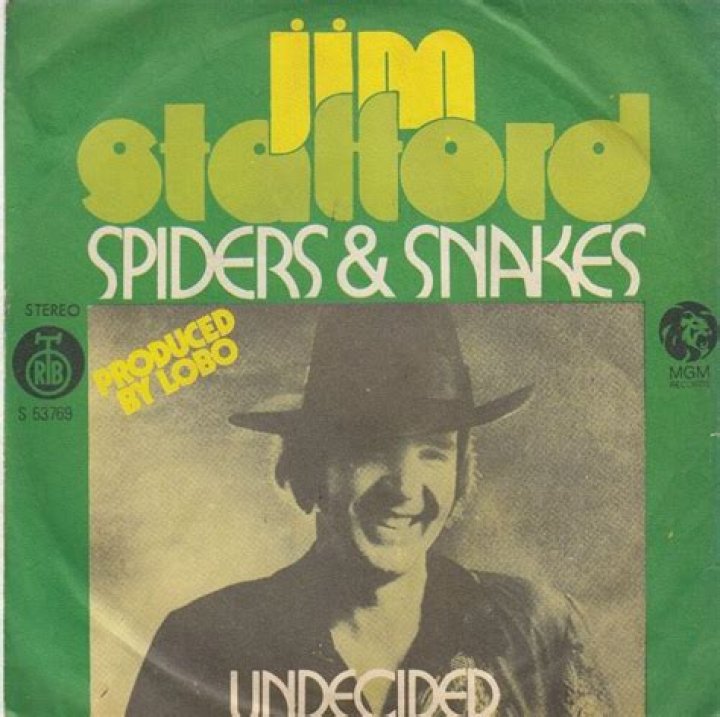 The Meaning Behind The Song: Spiders & Snakes by Jim Stafford