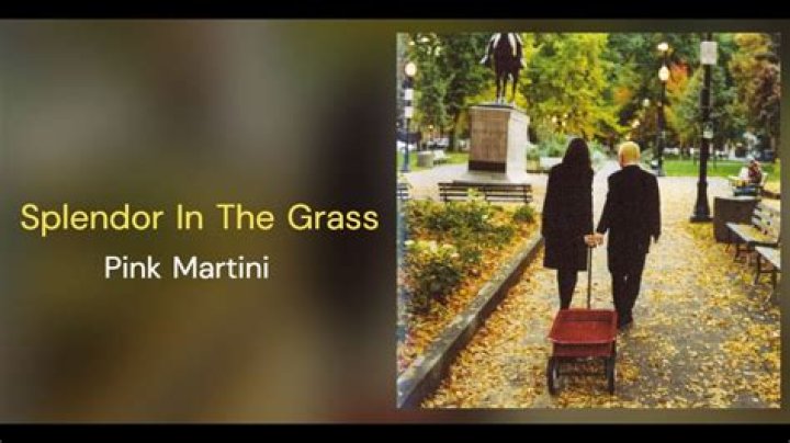 The Meaning Behind The Song: Splendor in the Grass by Pink Martini