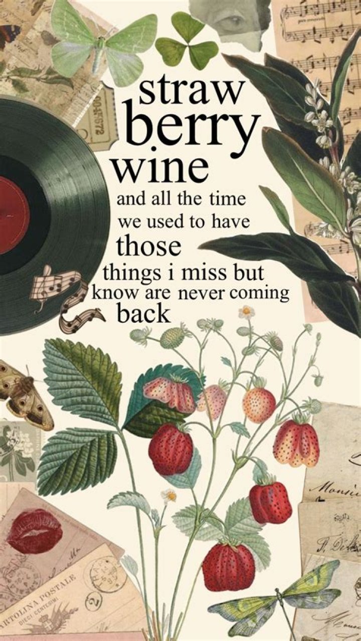 The Meaning Behind The Song: Strawberry Wine by Noah Kahan