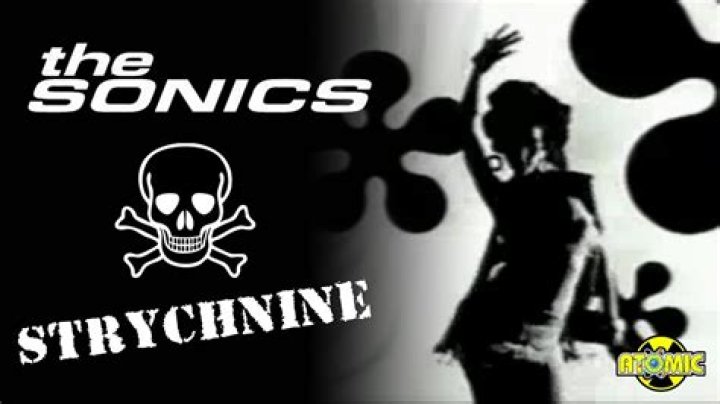 The Meaning Behind The Song: Strychnine by The Sonics