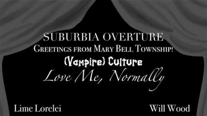 The Meaning Behind The Song: Suburbia Overture / Greetings from Mary Bell Township! / (Vampire) Culture / Love Me; Normally by Will Wood