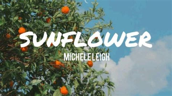 The Meaning Behind The Song: Sunflower by Michele Leigh