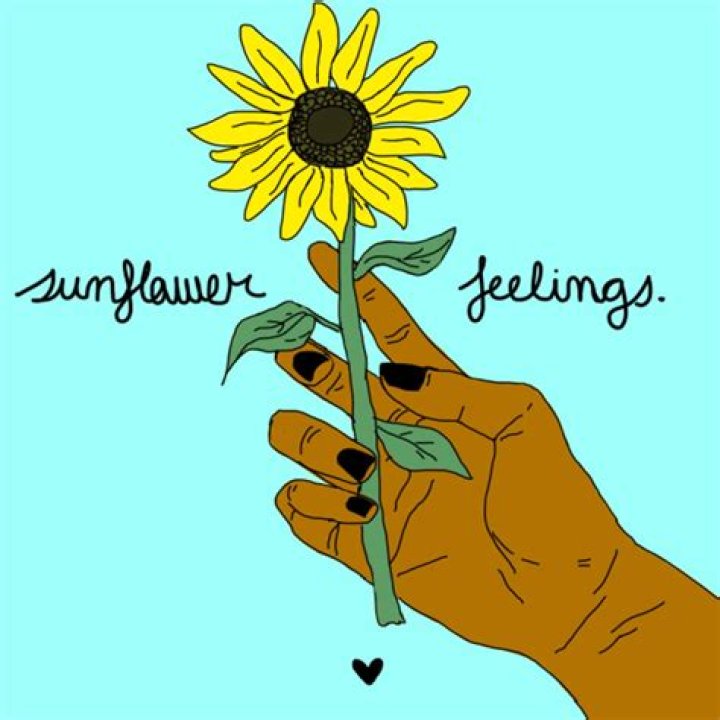 The Meaning Behind The Song: Sunflower feelings by Kuzu Mellow