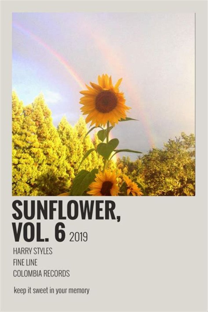 The Meaning Behind The Song: Sunflower; Vol. 6 by Harry Styles