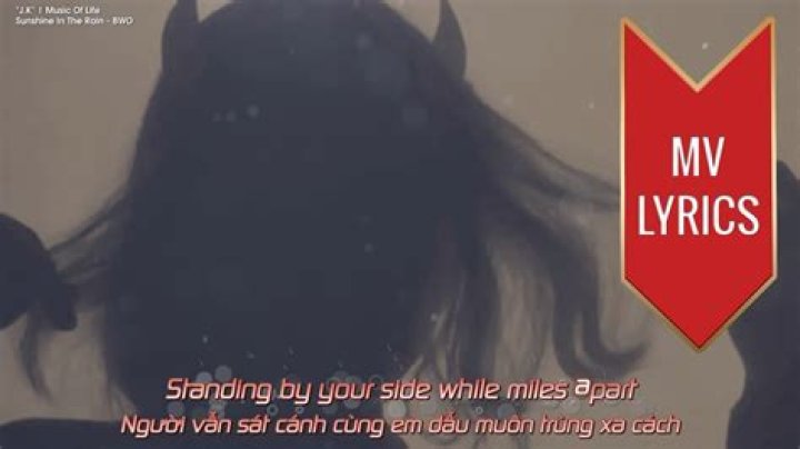 The Meaning Behind The Song: Sunshine in the Rain by BwO