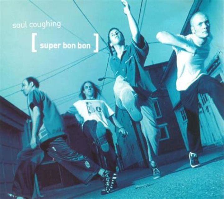 The Meaning Behind The Song: Super Bon Bon by Soul Coughing