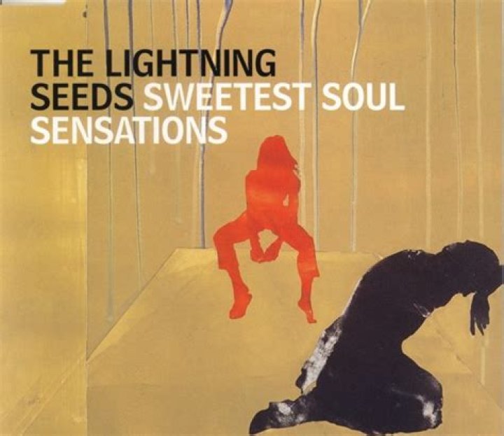 The Meaning Behind The Song: Sweetest Soul Sensations by The Lightning Seeds