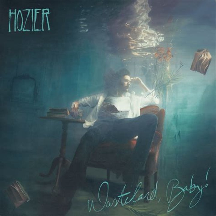 The Meaning Behind The Song: Talk by Hozier