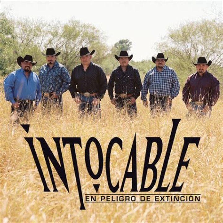 The Meaning Behind The Song: Te Amo (Para Siempre) by Intocable