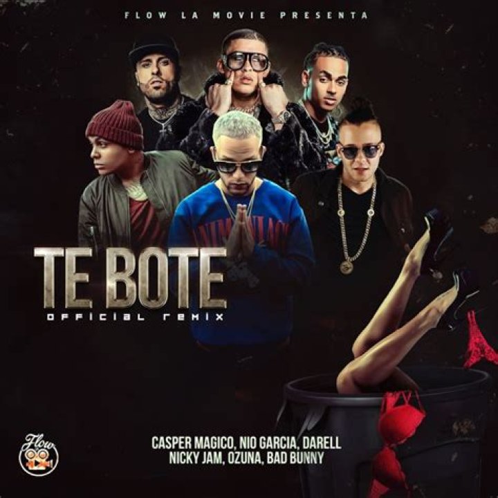 The Meaning Behind The Song: Te bote remix (English Translation) by Nio García, Casper Mágico & Bad Bunny