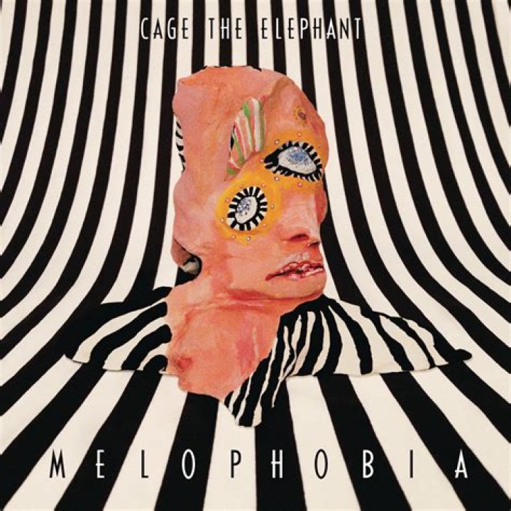 The Meaning Behind The Song: Telescope by Cage the Elephant