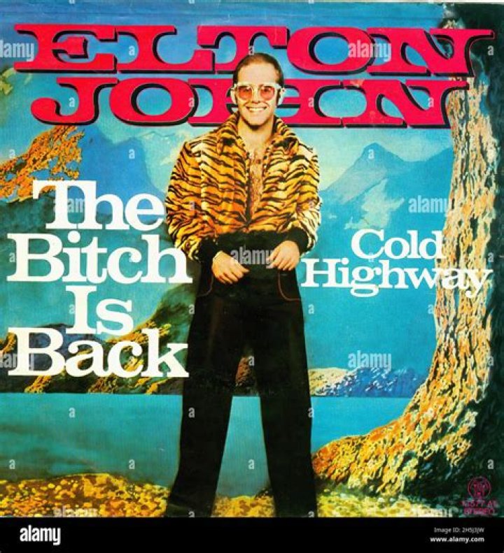 The Meaning Behind The Song: The Bitch Is Back by Elton John