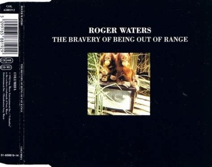 The Meaning Behind The Song: The Bravery of Being Out of Range by Roger Waters