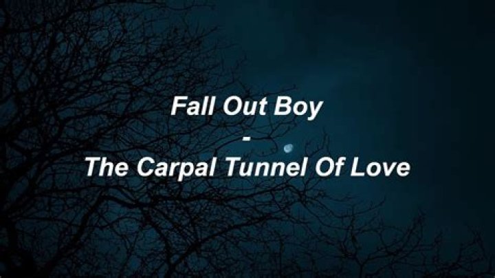 The Meaning Behind The Song: The Carpal Tunnel Of Love by Fall Out Boy