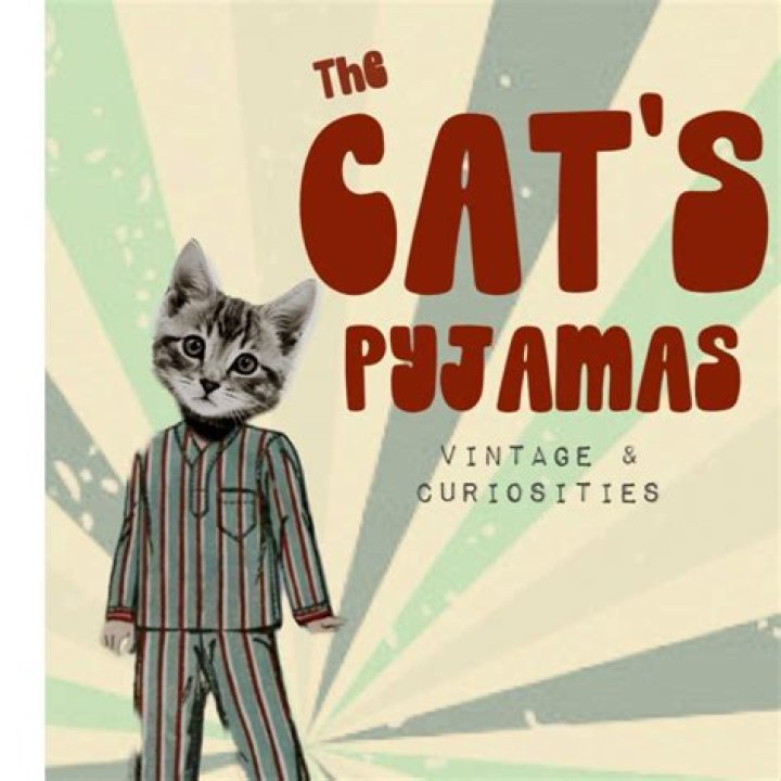 The Meaning Behind The Song: The Cat’s Pyjamas by Isobel Campbell