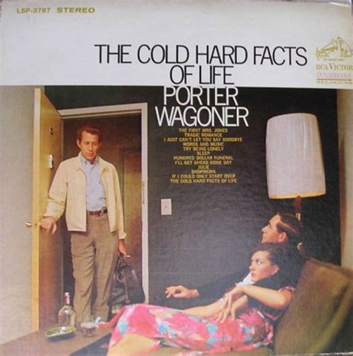 The Meaning Behind The Song: The Cold Hard Facts of Life by Porter Wagoner