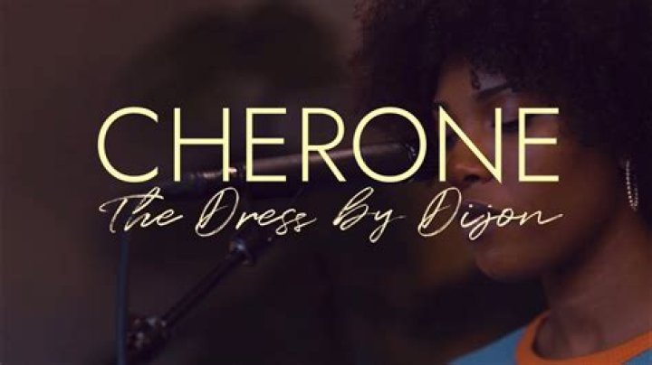 The Meaning Behind The Song: The Dress by Dijon