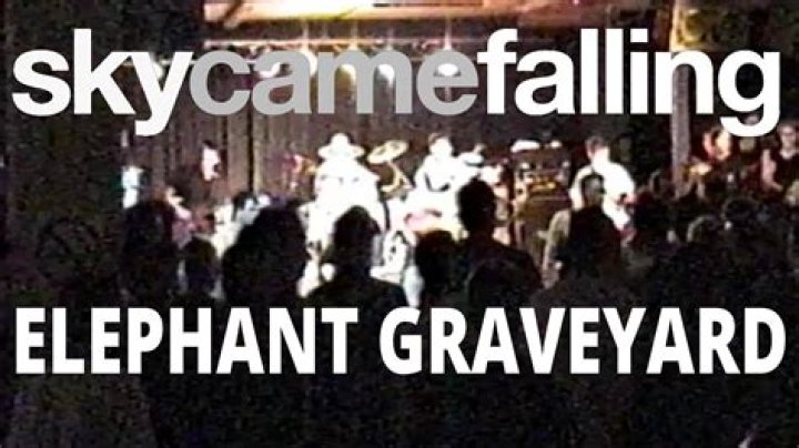 The Meaning Behind The Song: The Elephant Graveyard by Skycamefalling