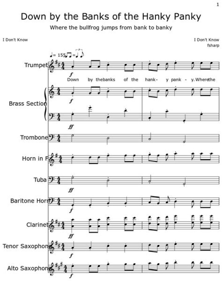 The Meaning Behind The Song: The Hanky Panky Song by The Hanky Pankies