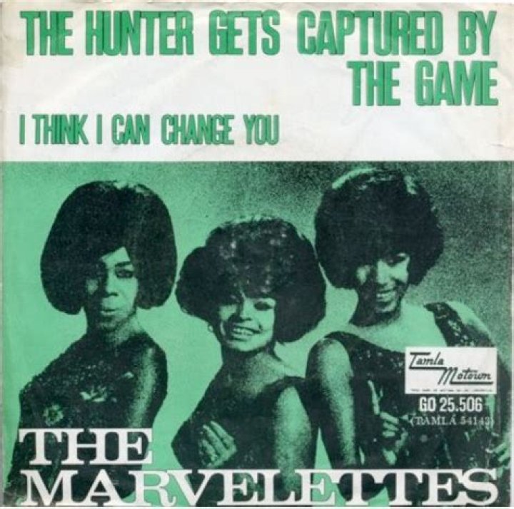 The Meaning Behind The Song: The Hunter Gets Captured by the Game by The Marvelettes