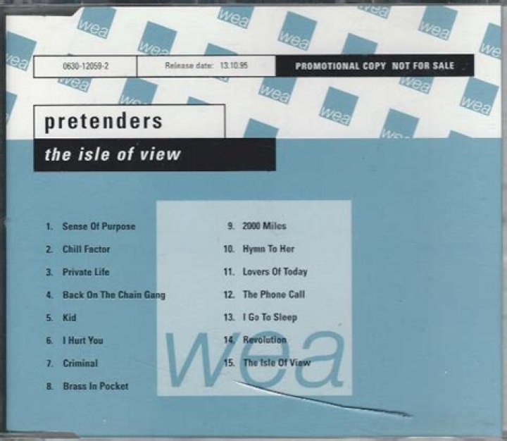 The Meaning Behind The Song: The Isle of View by Pretenders